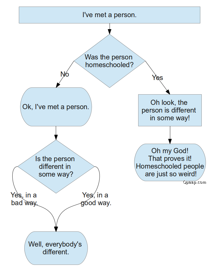 flowchart of homeschool stereotypes